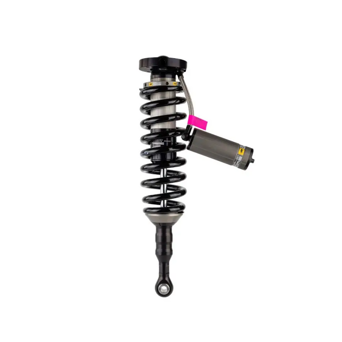 Close up of OME BP51 coilover shock absorb on white background