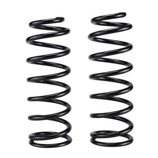 Black OME coil spring pair on white background