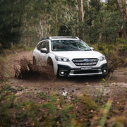 Photo - Mounted