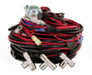 Black and red dog wearing red harness next to air lift load controller ii - single gauge with lps 5 psi min