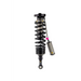 Arb / ome bp51 coilover shock absorber on white background