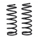 Black OME coil spring pair on white background