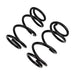 Black ARB / OME coil spring set on white background