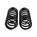 Pair of black arb / ome coil springs on white background