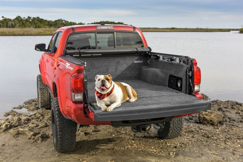 Dog laying in toyota tacoma truck bedliner