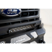 DV8 Offroad Elite Series Front Bumper Plate with Ford Logo