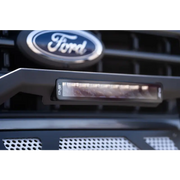 Ford F-150 front bumper bar with DV8 Offroad Elite Series 13in light bar.