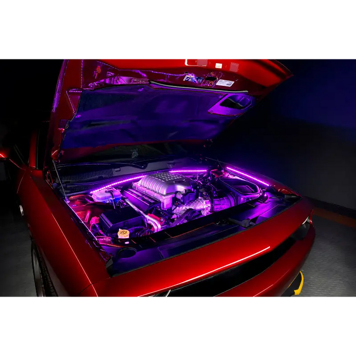 Oracle Engine Bay 5050 SMD Kit - RGB ColorSHIFT LED Strips Illuminate Hood Purple