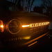 LED letter badges illuminated on car at night.