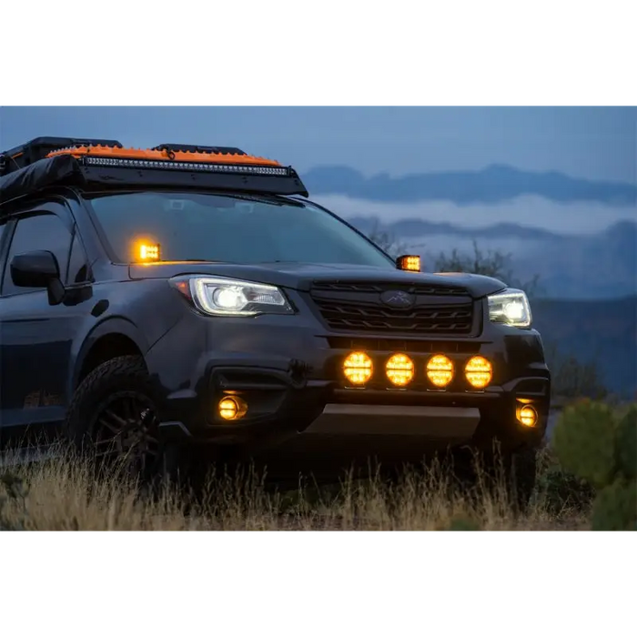 Black SUV with lights on in a field - Rigid’s Amber Pro Edition Fog Lights.