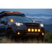 Black SUV with lights on in a field - Rigid’s Amber Pro Edition Fog Lights.