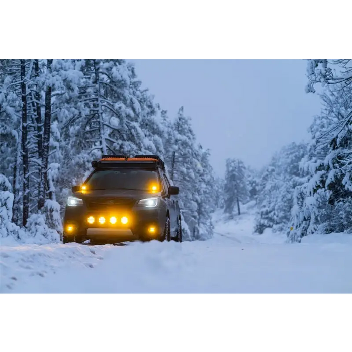 Driving car through snow covered forest featuring Rigid Industries D-SS Spot w/ Amber PRO Lens (Pair)