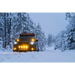 Driving car through snow covered forest featuring Rigid Industries D-SS Spot w/ Amber PRO Lens (Pair)