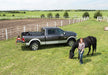 Woman standing next to horse in field, truxedo truxport bed cover for toyota tacoma 5ft bed