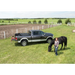 Woman standing next to horse in field beside Truxedo 05-15 Toyota Tacoma 6ft TruXport bed cover.